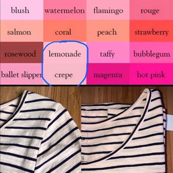 NEW SONOMA Butterfly Embroidery Tee Shirt Striped Petite XS Off White Women’s - Picture 6 of 16